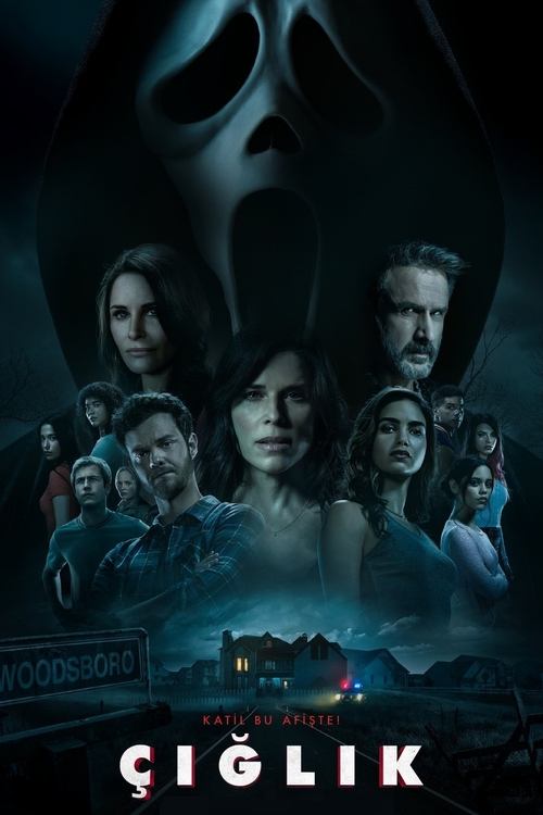 çığlık poster