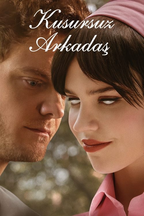 kusursuz arkadaş poster